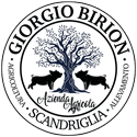 Azienda Agricola Birion Logo